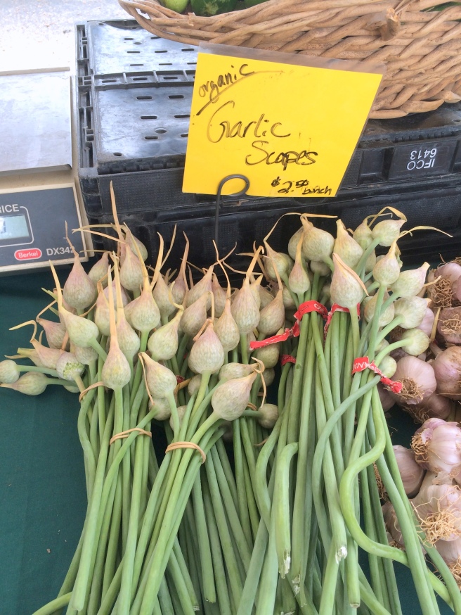 local organic garlic hairston creek farm scapes mueller farmers market austin texas